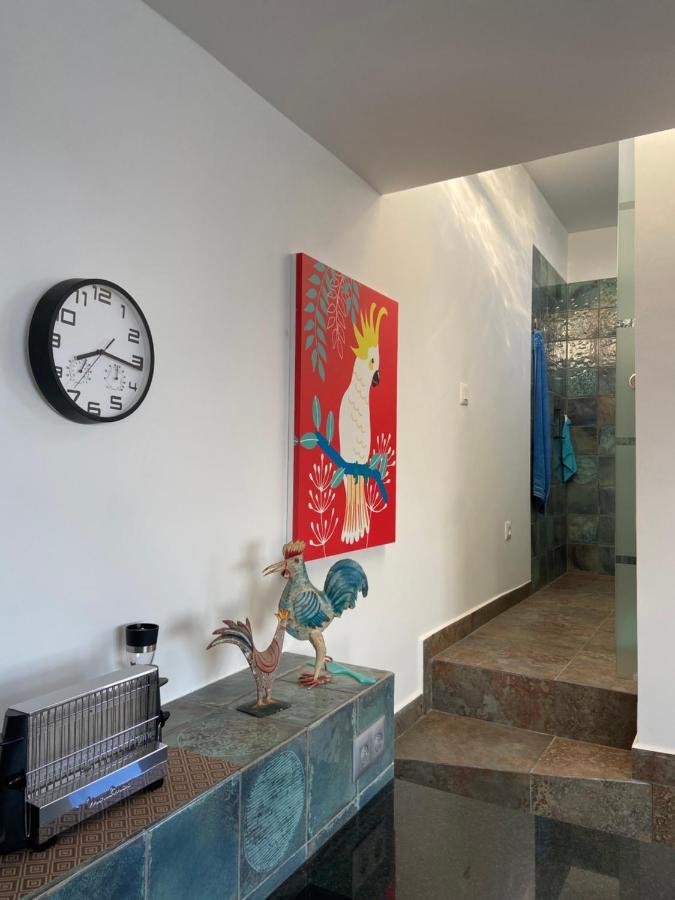 Villa Oasis La Paz - Acaymo Loft - Adults Only - Puerto de la Cruz  Dış mekan fotoğraf