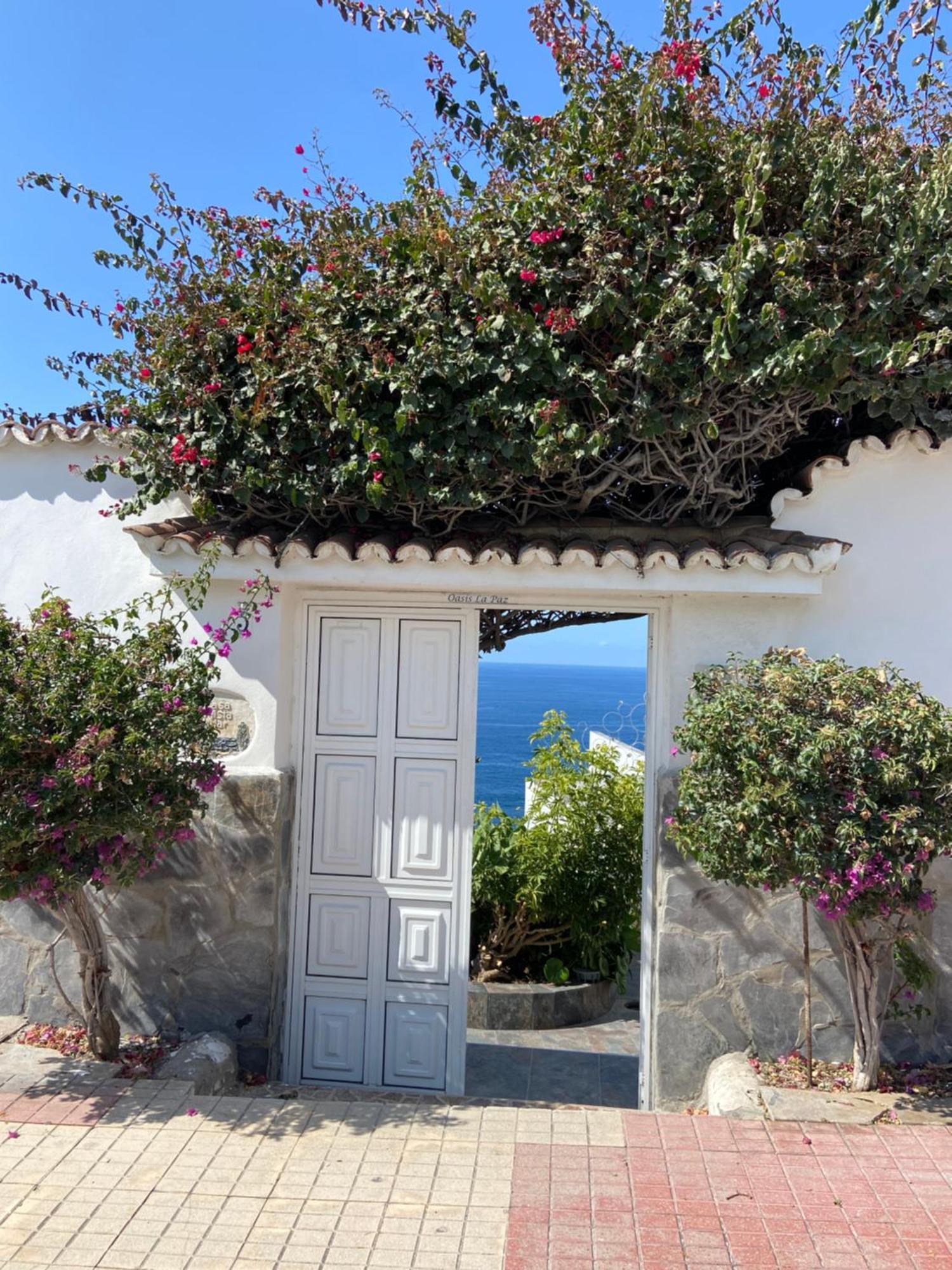 Villa Oasis La Paz - Acaymo Loft - Adults Only - Puerto de la Cruz  Dış mekan fotoğraf