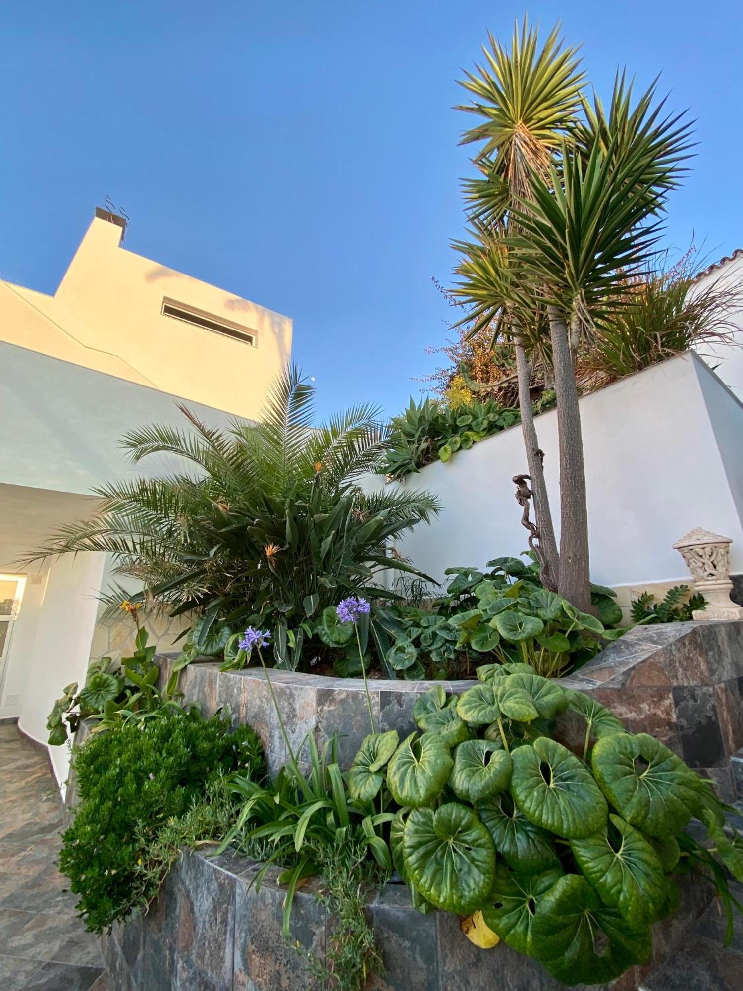 Villa Oasis La Paz - Acaymo Loft - Adults Only - Puerto de la Cruz  Dış mekan fotoğraf